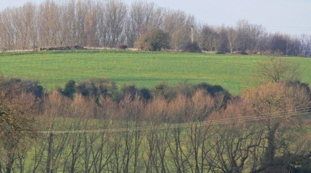 Mickle Hill, Leicestershire Mickle Hill Spinney are the trees visible beyond the crest of the low hill.