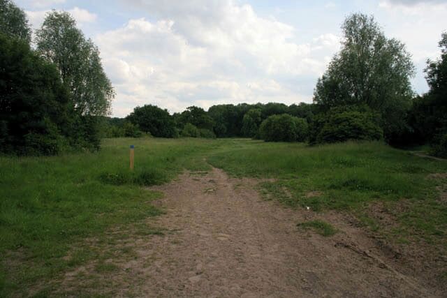 Burbage Common Country Park Looking towards Burbage Wood.