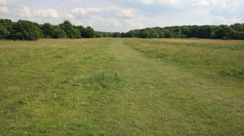 Burbage Common Country Park Burbage Common is a 200-acre Country Park and SSSI popular with birdwatchers, walkers and horseriders. It is one of the few areas of unimproved acid grassland to the south west of Leicester as a result of it being used as common grazing land since the eighteenth century Enclosure Acts. The land is managed by Hinkley and Bosworth Borough Council as Spring or Summer meadows, with either a silage or hay crop being taken. The open areas, with their regularly mown bridleways and footpaths, are bounded by ancient oak, ash and maple woodland.