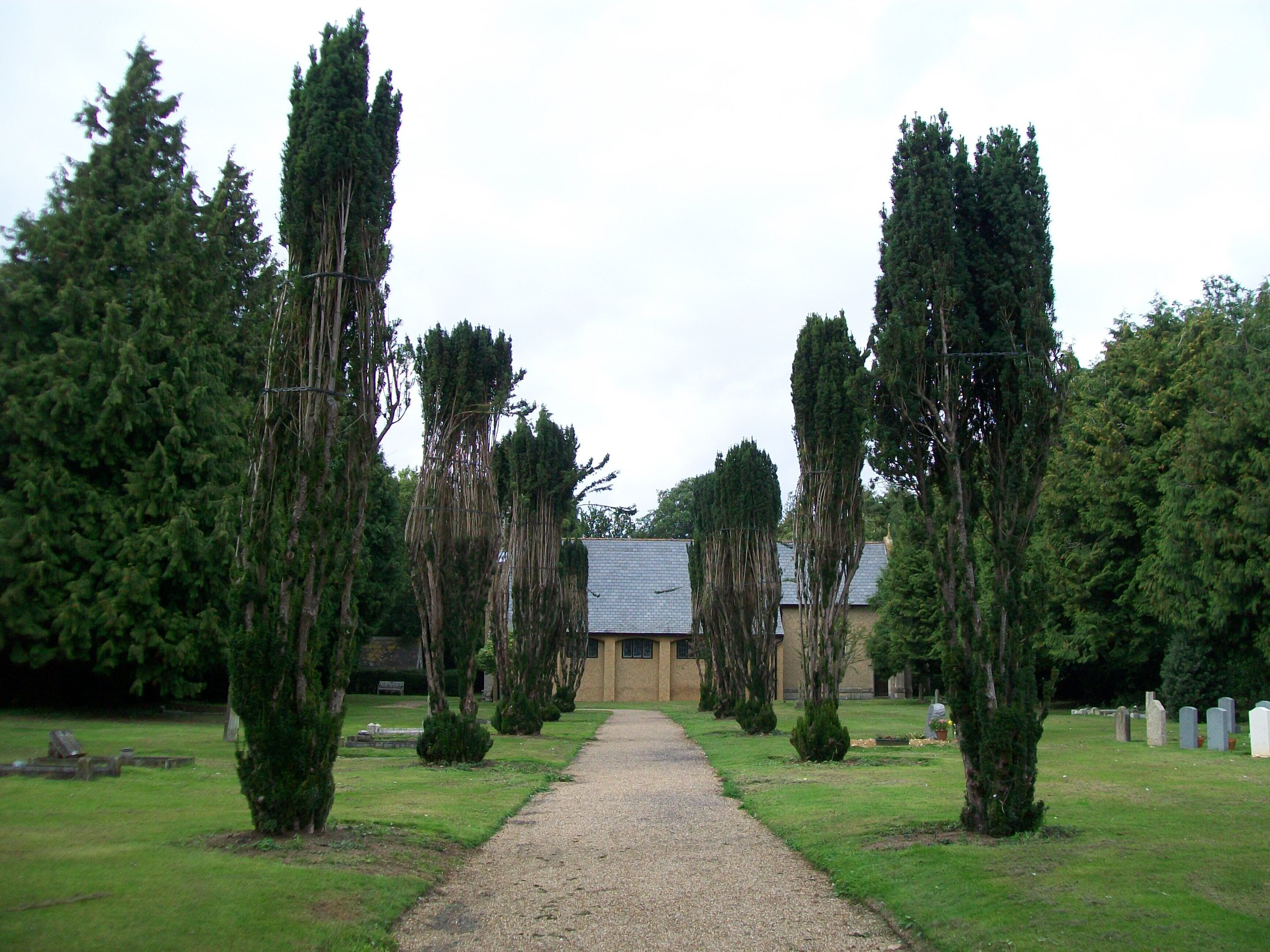 The yew trees are being... somethinged. I forget what they called it. They look funny though. We decided the church was rather unattractive. Part of a bike ride with my friend Lance on 4 September 2010.