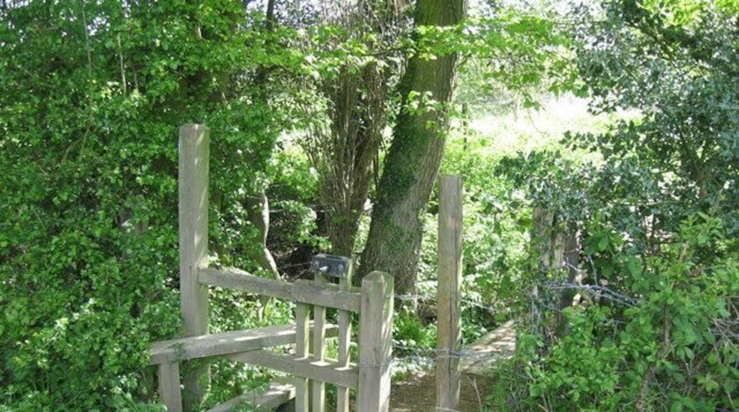 Stile on the path from Glovers Road, Charlwood to Glovers Wood Note the barrier that can be lifted to let your dog through and the gap to the side that most dogs actually use.