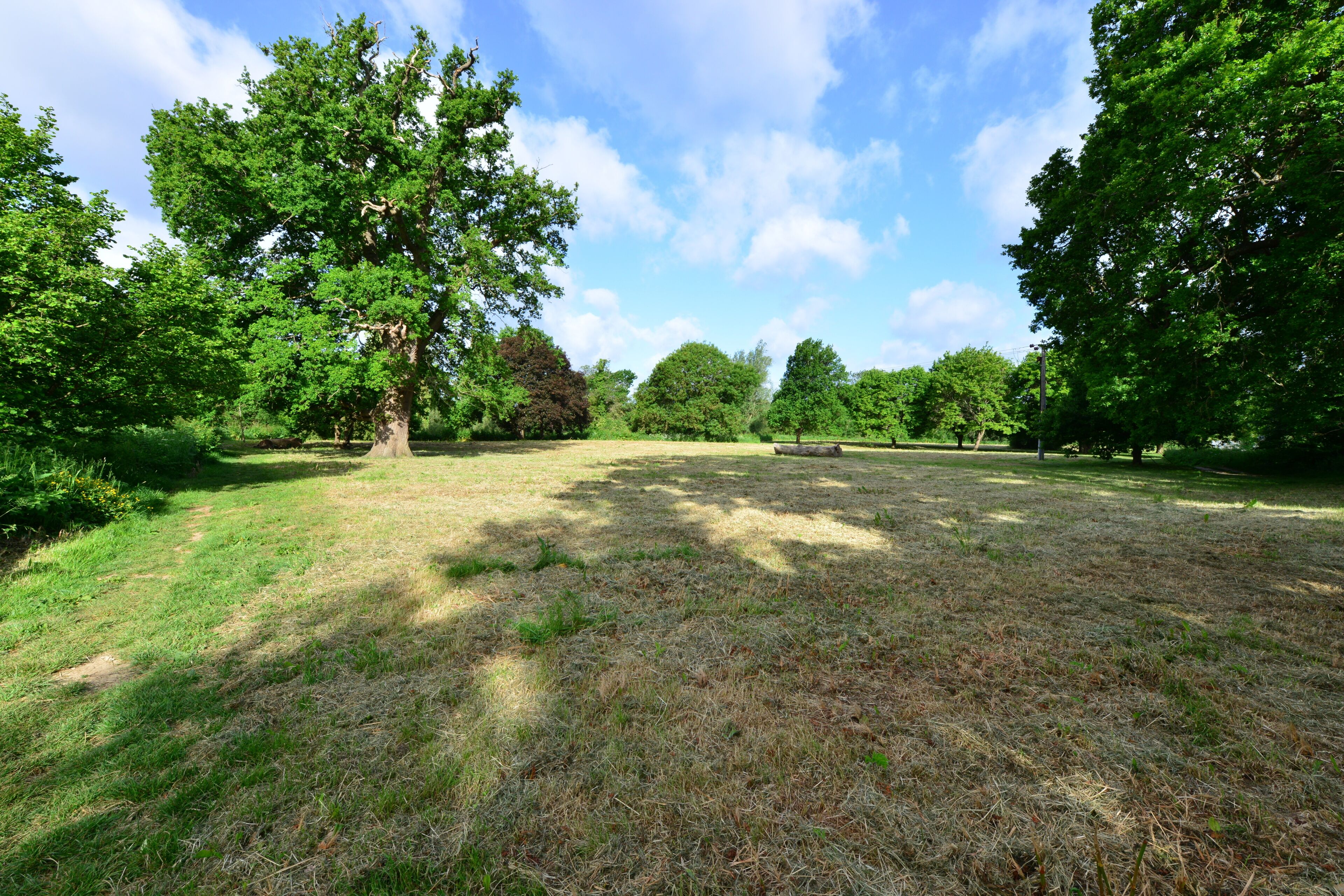Horley