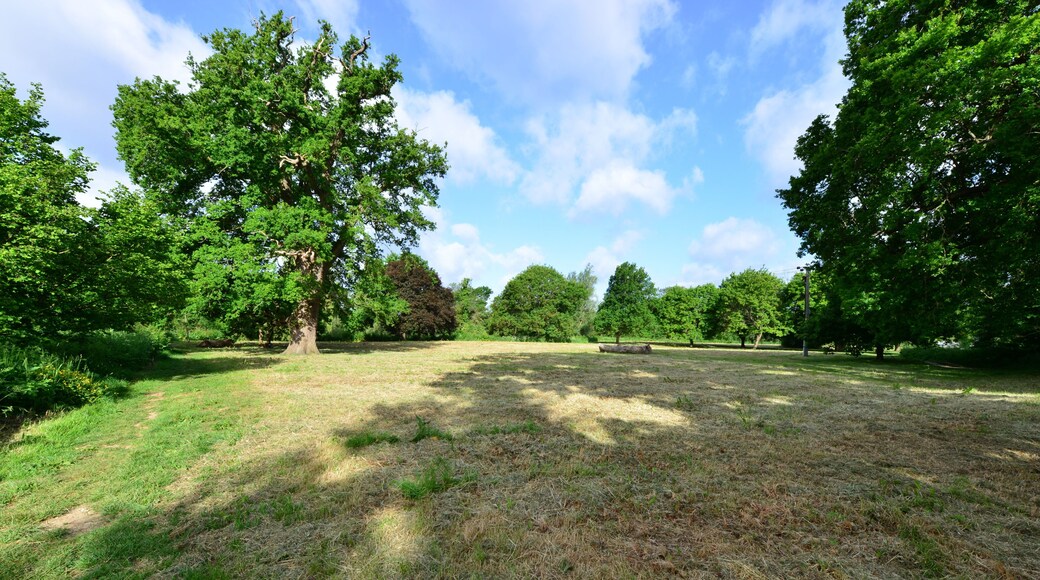 Horley