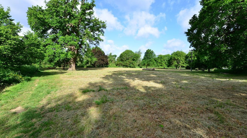 A field and a Meadow in Horley, Surrey, UK.