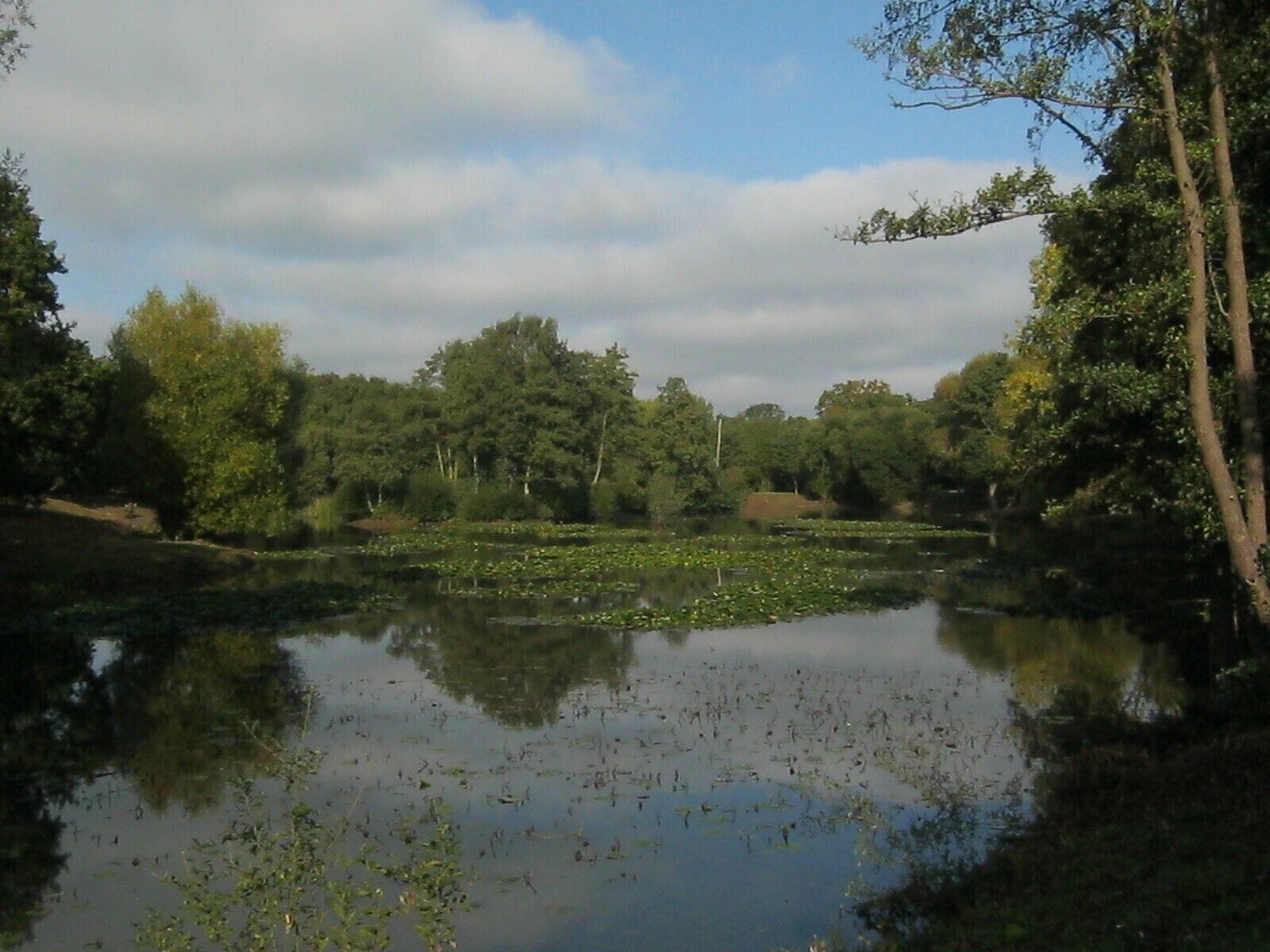 Artificial lake  Riverside Garden Park - simply super!