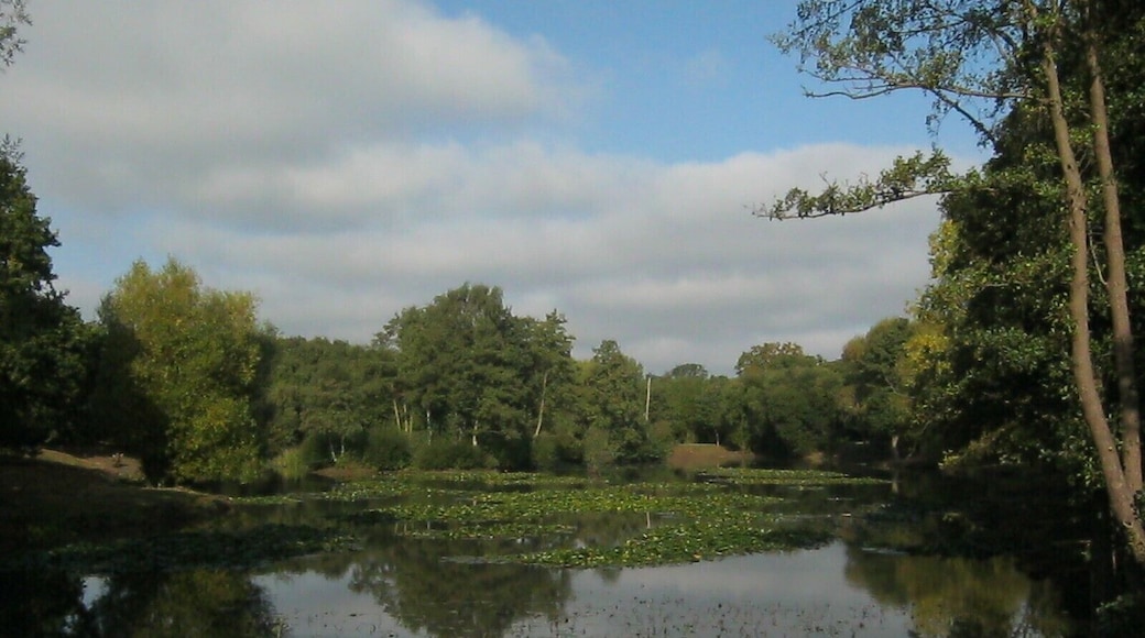 Artificial lake Riverside Garden Park - simply super!