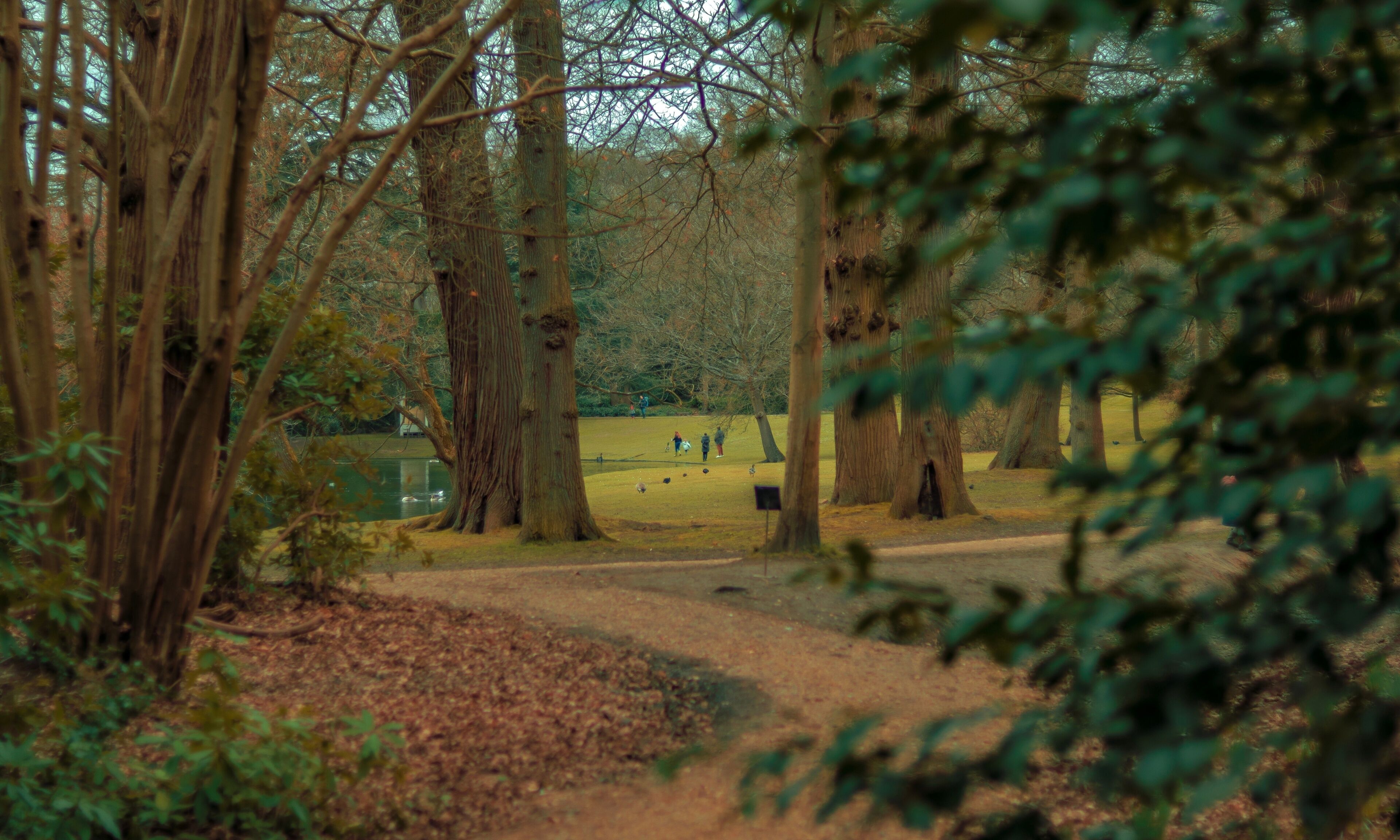 Horley