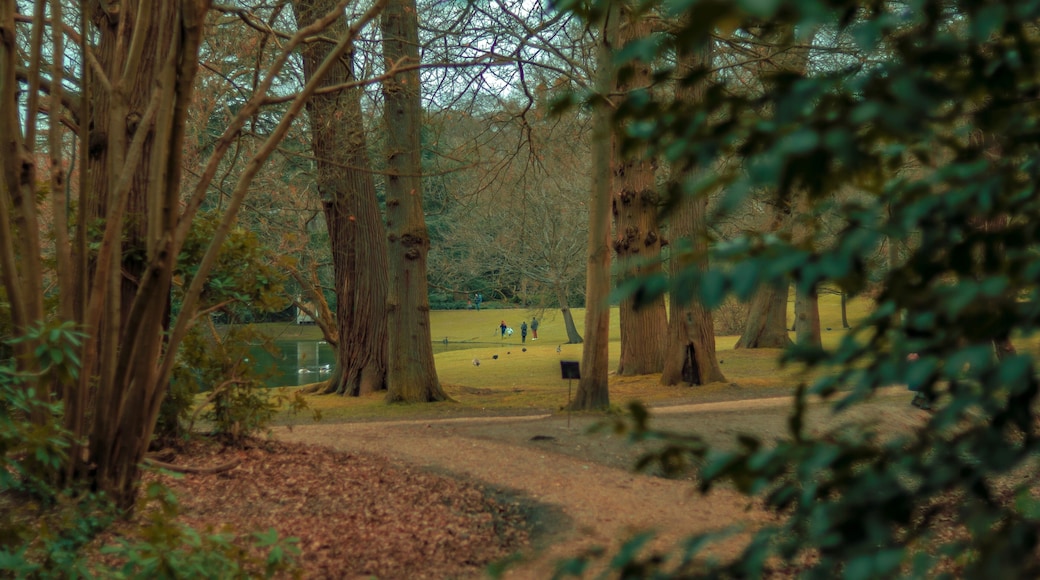 Horley