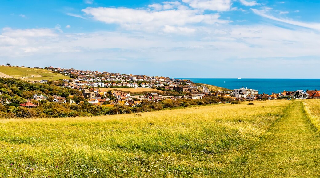 A panorama down Beacon Hill towards the town of Rottingdean, Sussex, UK in summer