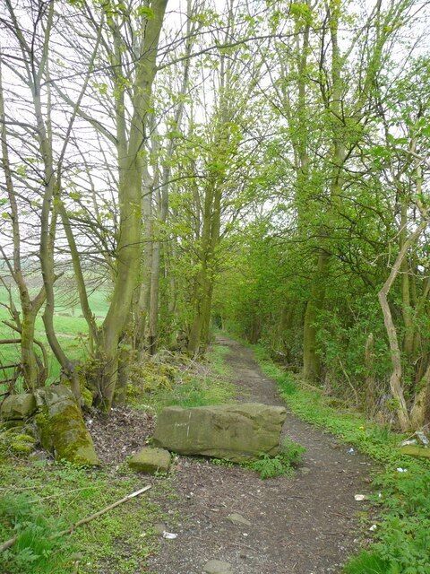 Boundary lane off Busker Lane, Scissett, Skelmanthorpe The boundary was a complicated arrangement between detached portions of wapentakes within the local townships, numbered 23 and 19 on the 1850 map. It was evidently a broad hedgebank, for it now has a broad track within it that did not appear on the mid-20C 6 inch map.