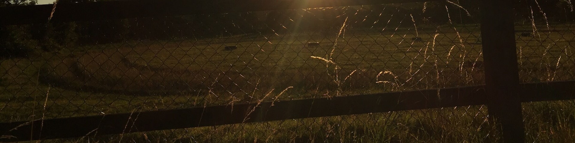 Morning walk home from a night out 😀☀️