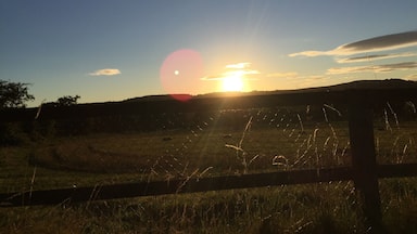 Morning walk home from a night out đâïž