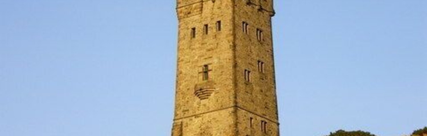Una alta y antigua torre de piedra sobre una colina con pasto seco y vegetación escasa.