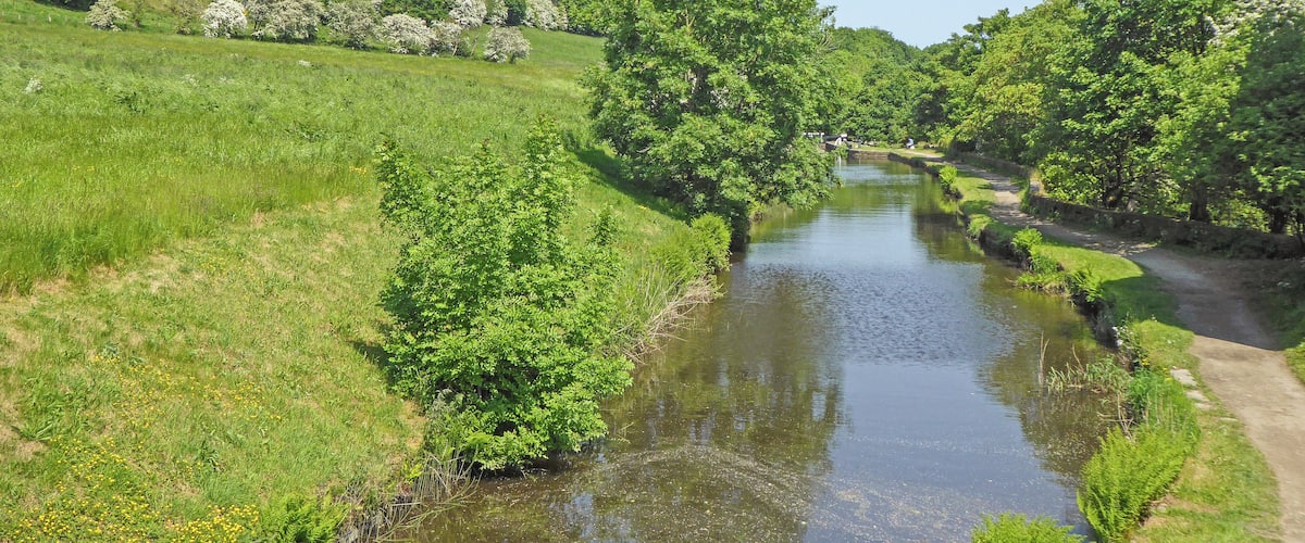 A narrow river with lush greenery on both sides, a clear blue sky, and a stone bridge in the distance.