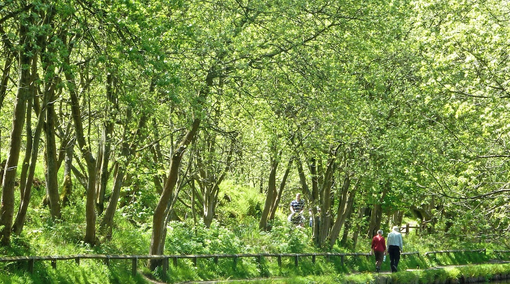 Huddersfield Narrow Canal, Marsden