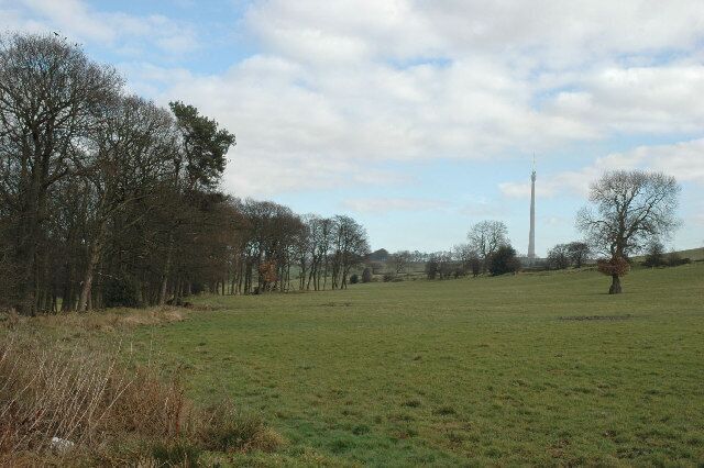 Radcliffe Wood, near Shelley. A small mixed wood between Shelley and Kirkburton; the Emley mast in the background features frequently in Geograph photographs in this region.