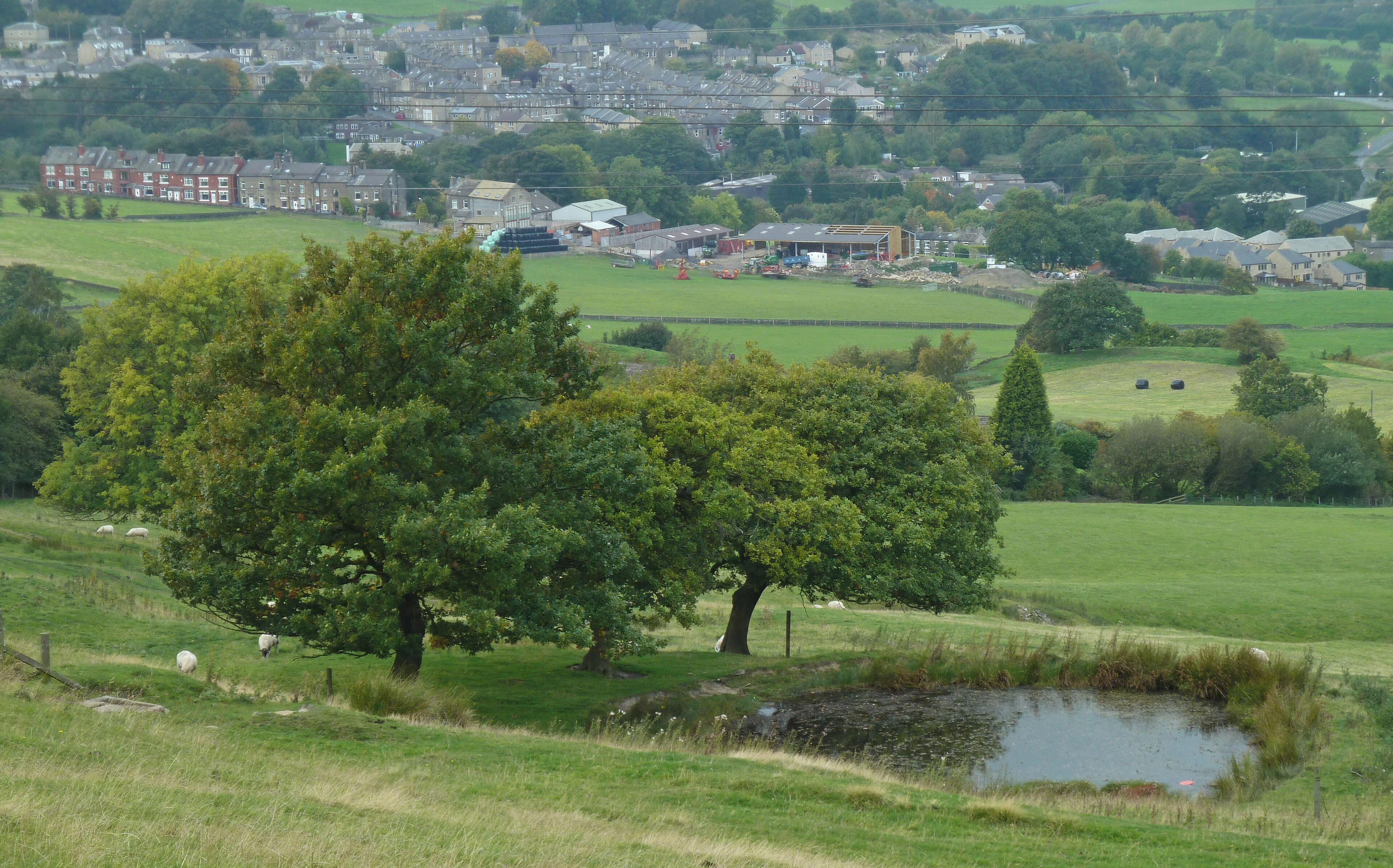 Old Linley Road, Huddersfield