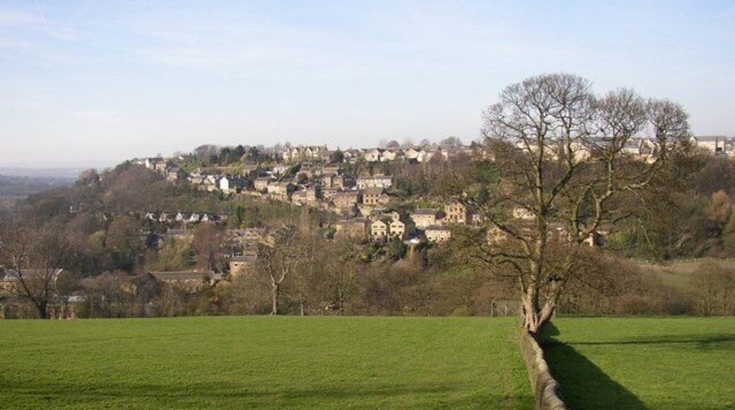 View from Riley Lane, Kirkburton The field slopes down towards the valley of Dean Bottom Dike. Highburton is on the hillside in the background (in SE1913).