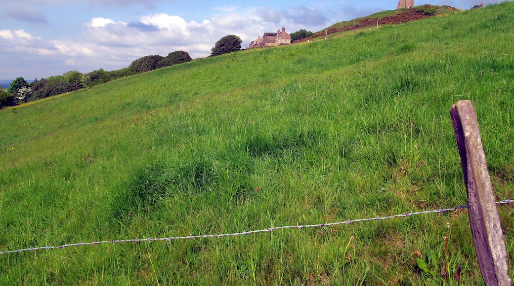 29.5.16 Huddersfield