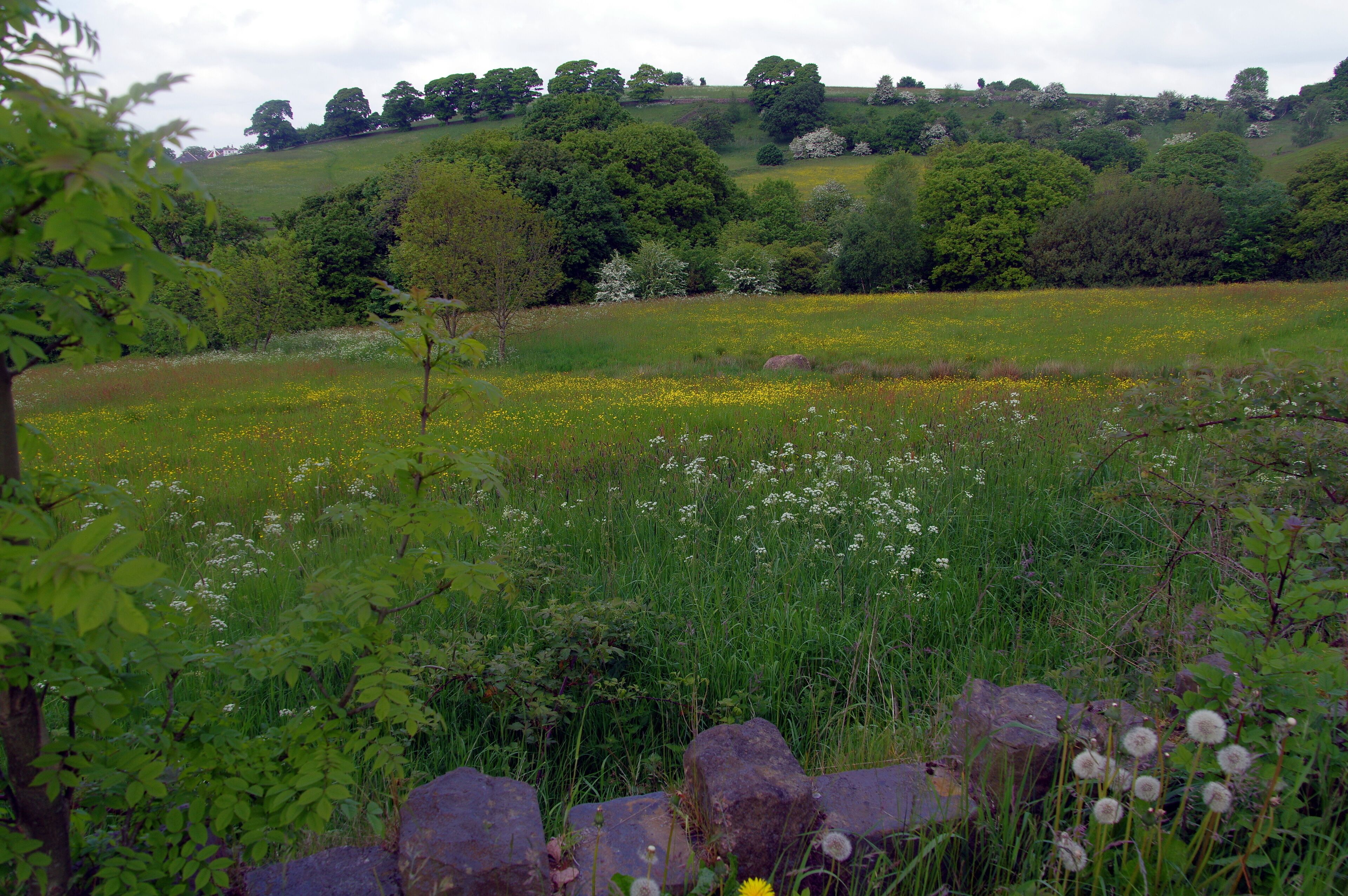 29.5.16 Huddersfield