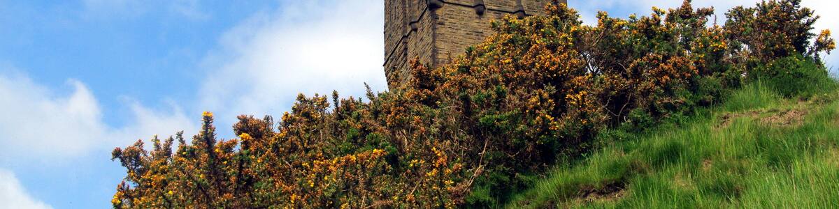 29.5.16 Huddersfield