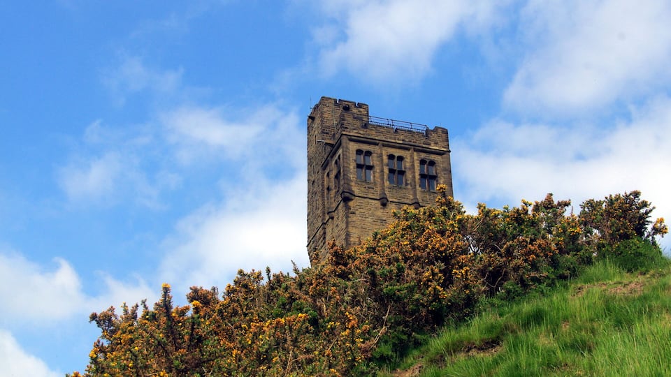 A historic stone tower on a grassy hill with yellow flowering bushes.