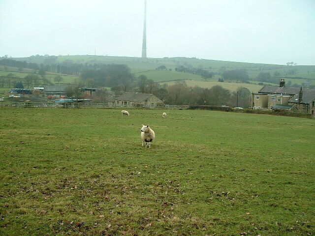 towards Hopstrines Farm. the photo was taken from the embankment above the Kirklees Light Railway. Emley Moor mask can be seen obscured in part by the mist