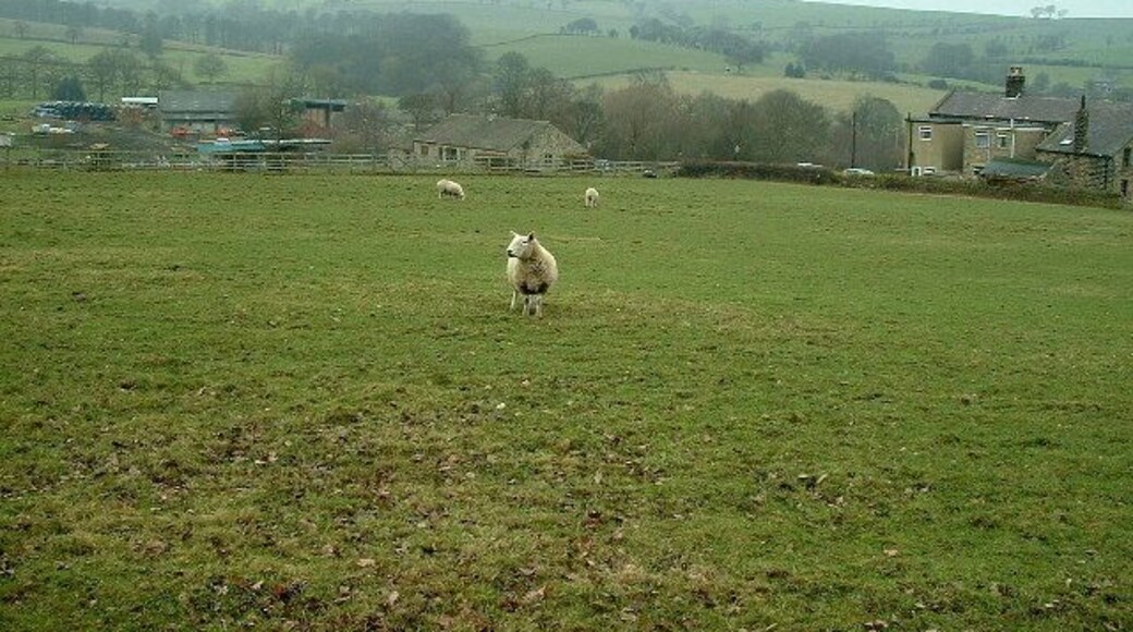 towards Hopstrines Farm. the photo was taken from the embankment above the Kirklees Light Railway. Emley Moor mask can be seen obscured in part by the mist