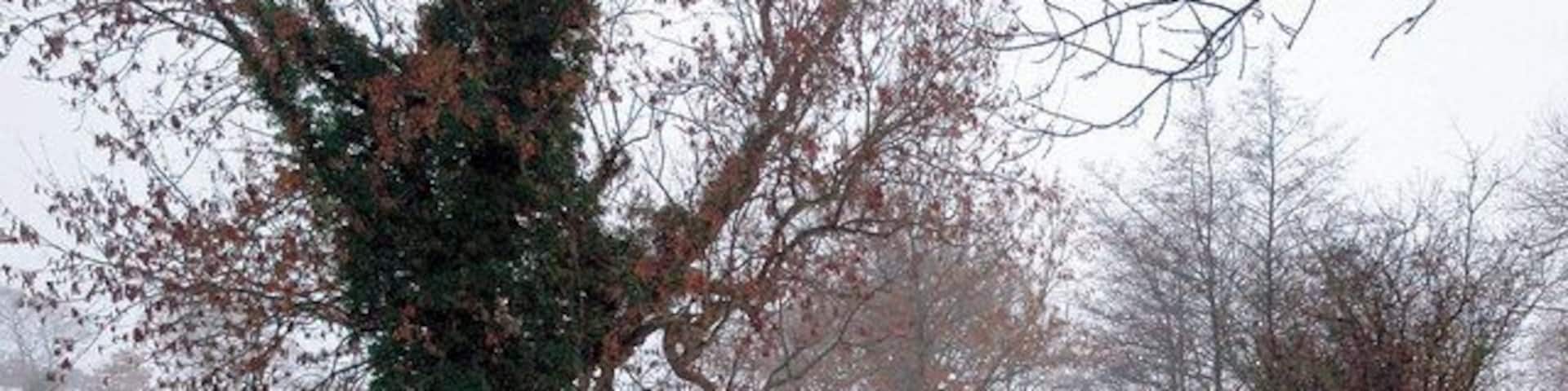 Gilthwaites Lane Between Skelmanthorpe and Denby Dale