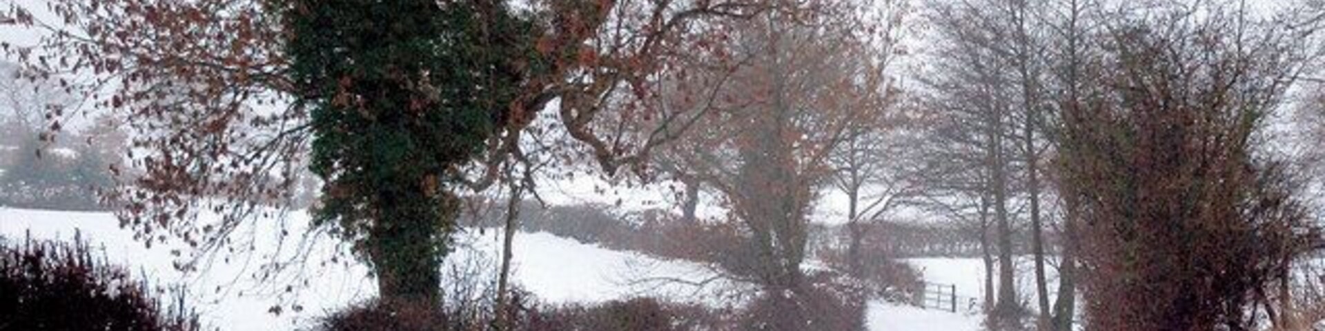 Gilthwaites Lane Between Skelmanthorpe and Denby Dale