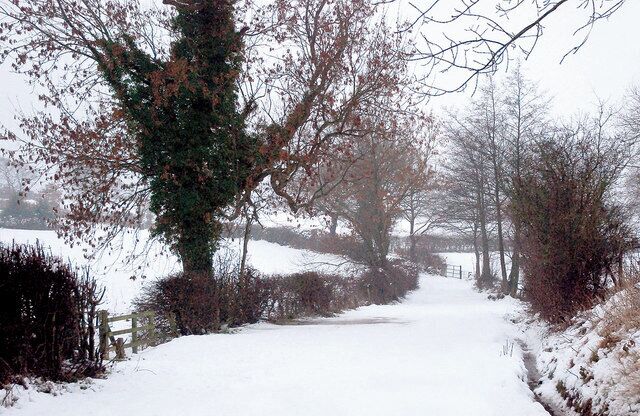 A snow-covered rural path flanked by trees and bushes.