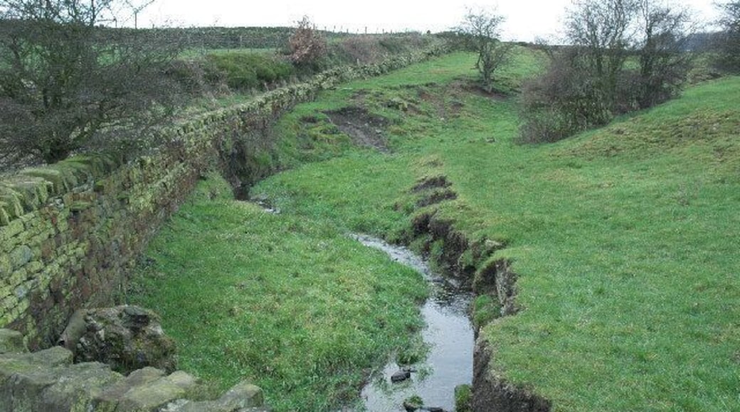 Stream and bridlepath near Upper Cumberworth. This stream is one of the upper tributaries of the River Dearne, which eventually joins the Don near Doncaster. Green patches of Bilberry line the bridlepath banks.