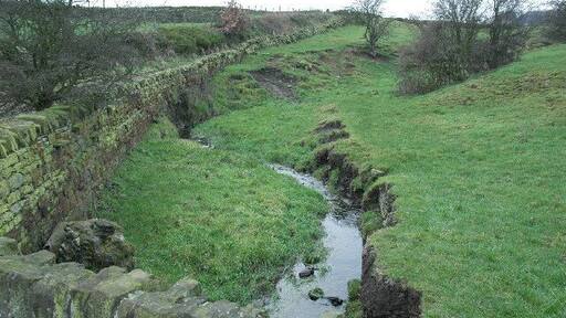Stream and bridlepath near Upper Cumberworth. This stream is one of the upper tributaries of the River Dearne, which eventually joins the Don near Doncaster. Green patches of Bilberry line the bridlepath banks.
