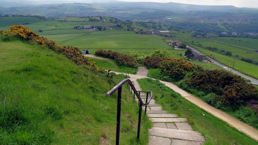 29.5.16 Huddersfield