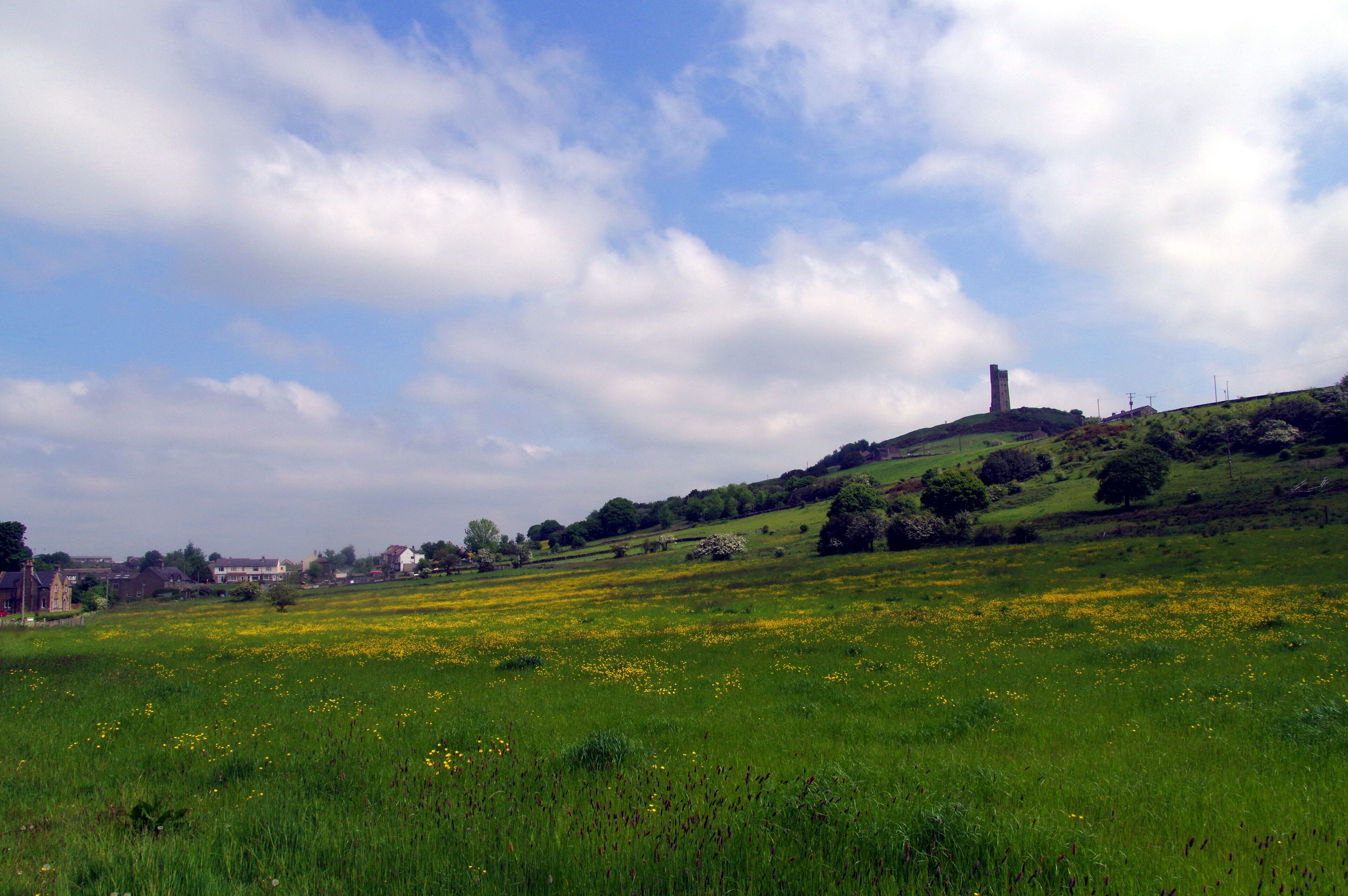 A green field with yellow flowers, a hill with a tower, and houses in the background.