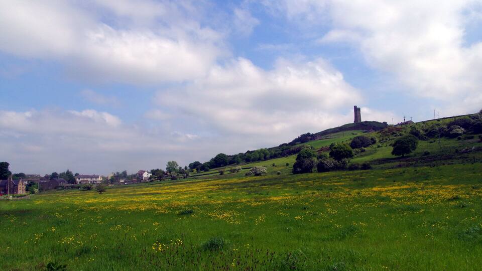 A green field with yellow flowers, a hill with a tower, and houses in the background.