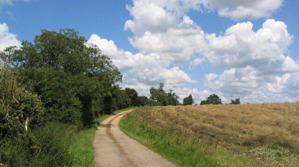 Track from Lodge Farm