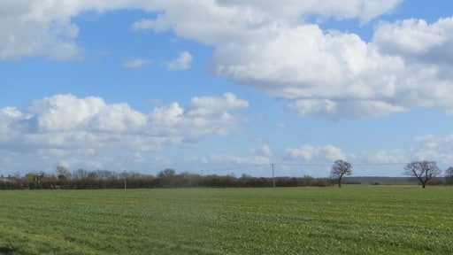 Great Common - April 2016