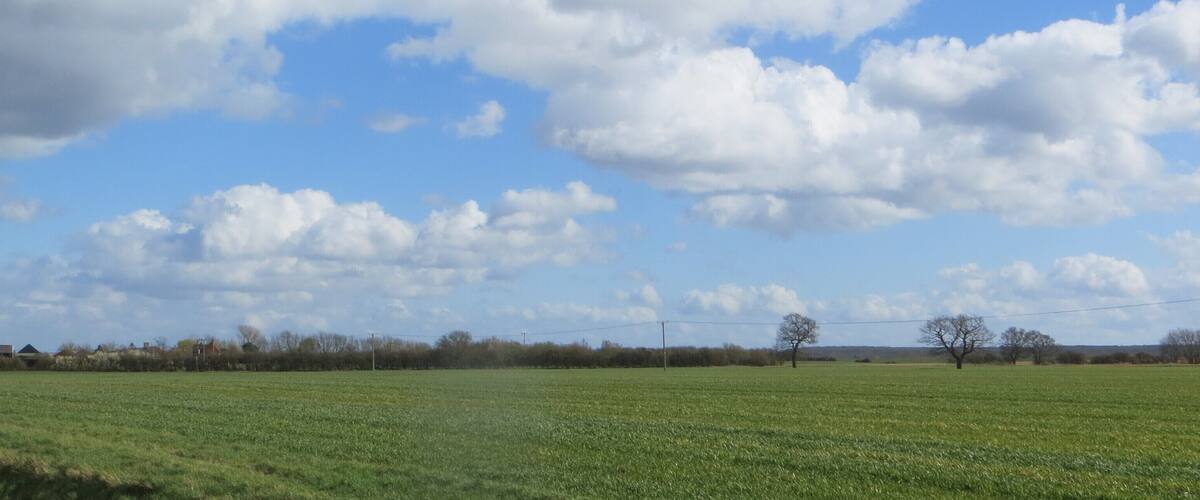 A vast green field under a partly cloudy sky with scattered clouds.