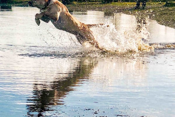 There is no such thing as water that is too cold!!