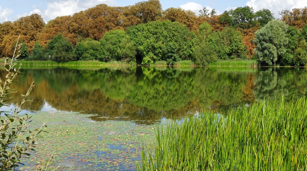 Time to stop and enjoy the view.