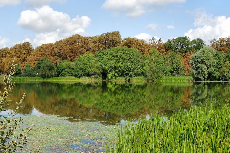 A calm lake surrounded by trees with autumn foliage, reflecting the sky and trees.