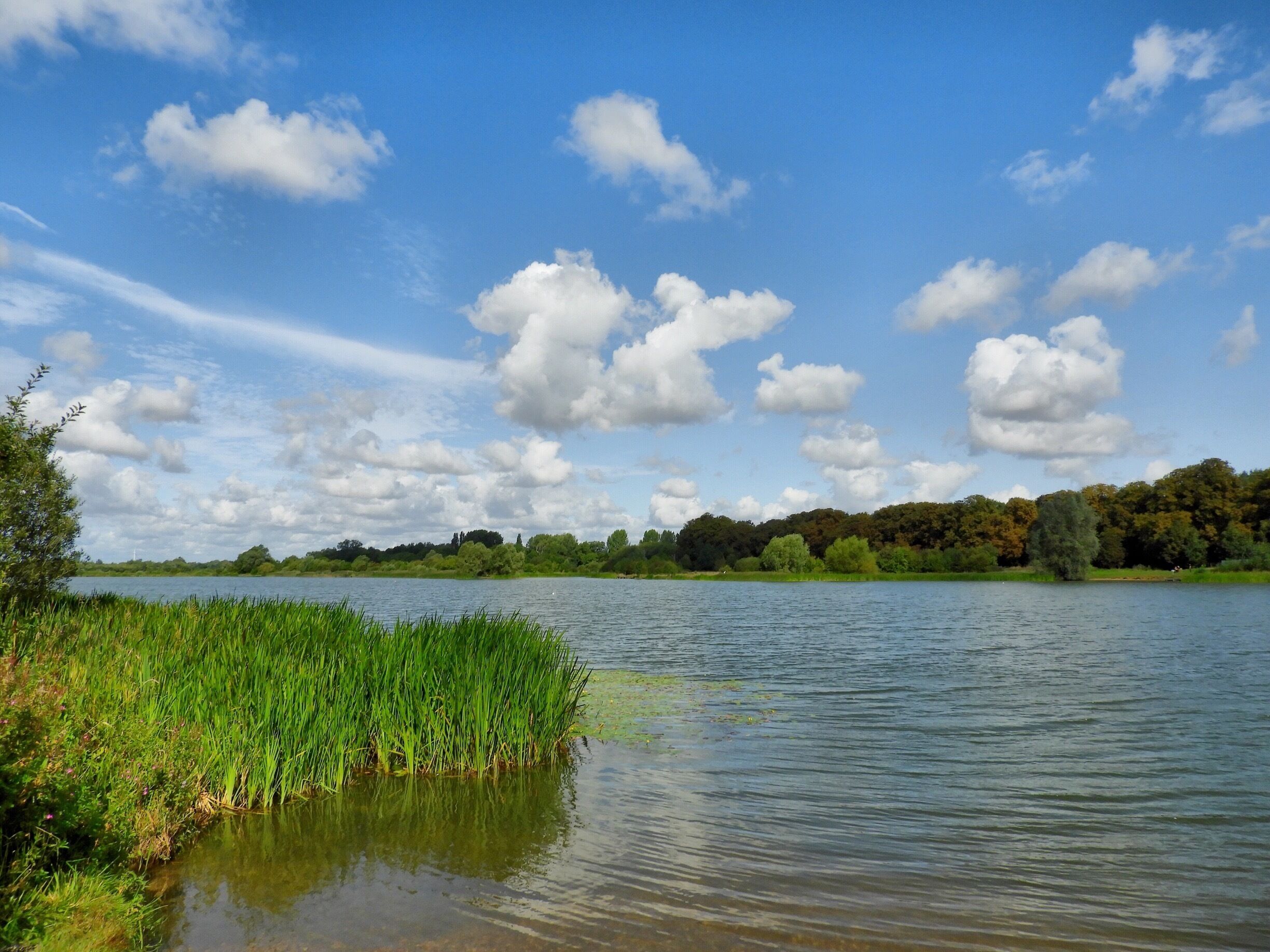 Lovely walk around the lakes this morning.