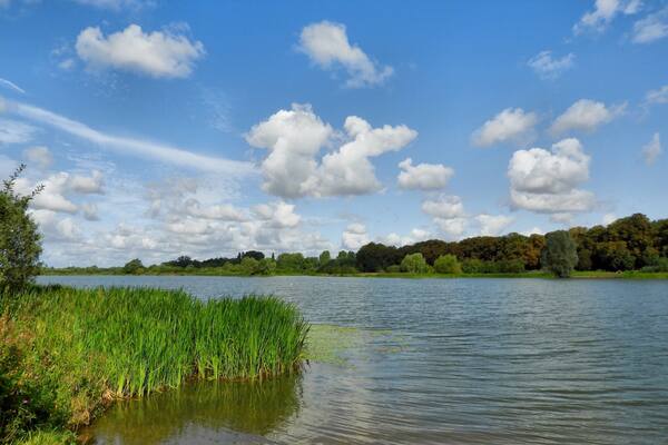Lovely walk around the lakes this morning.