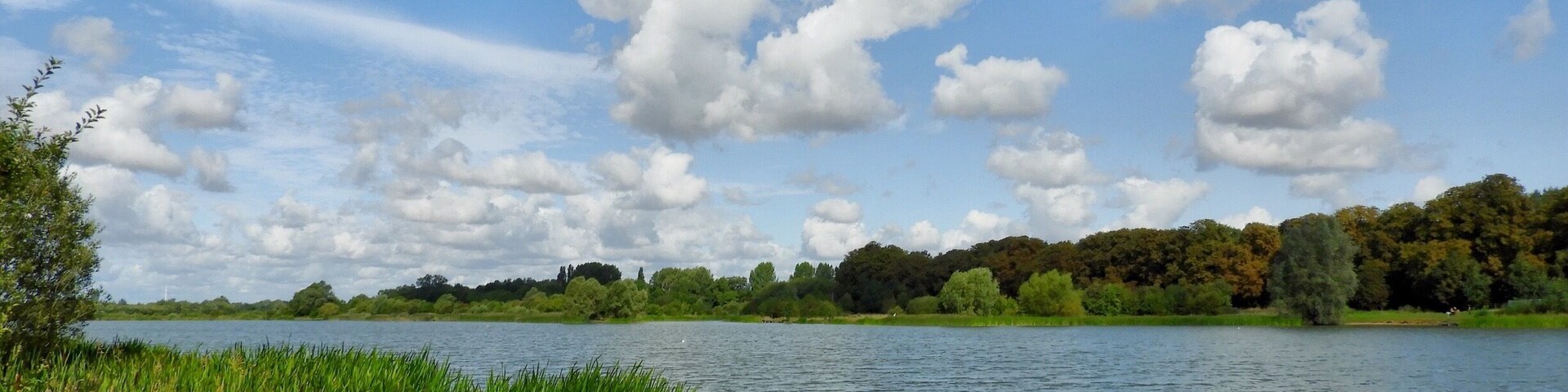 Lovely walk around the lakes this morning.