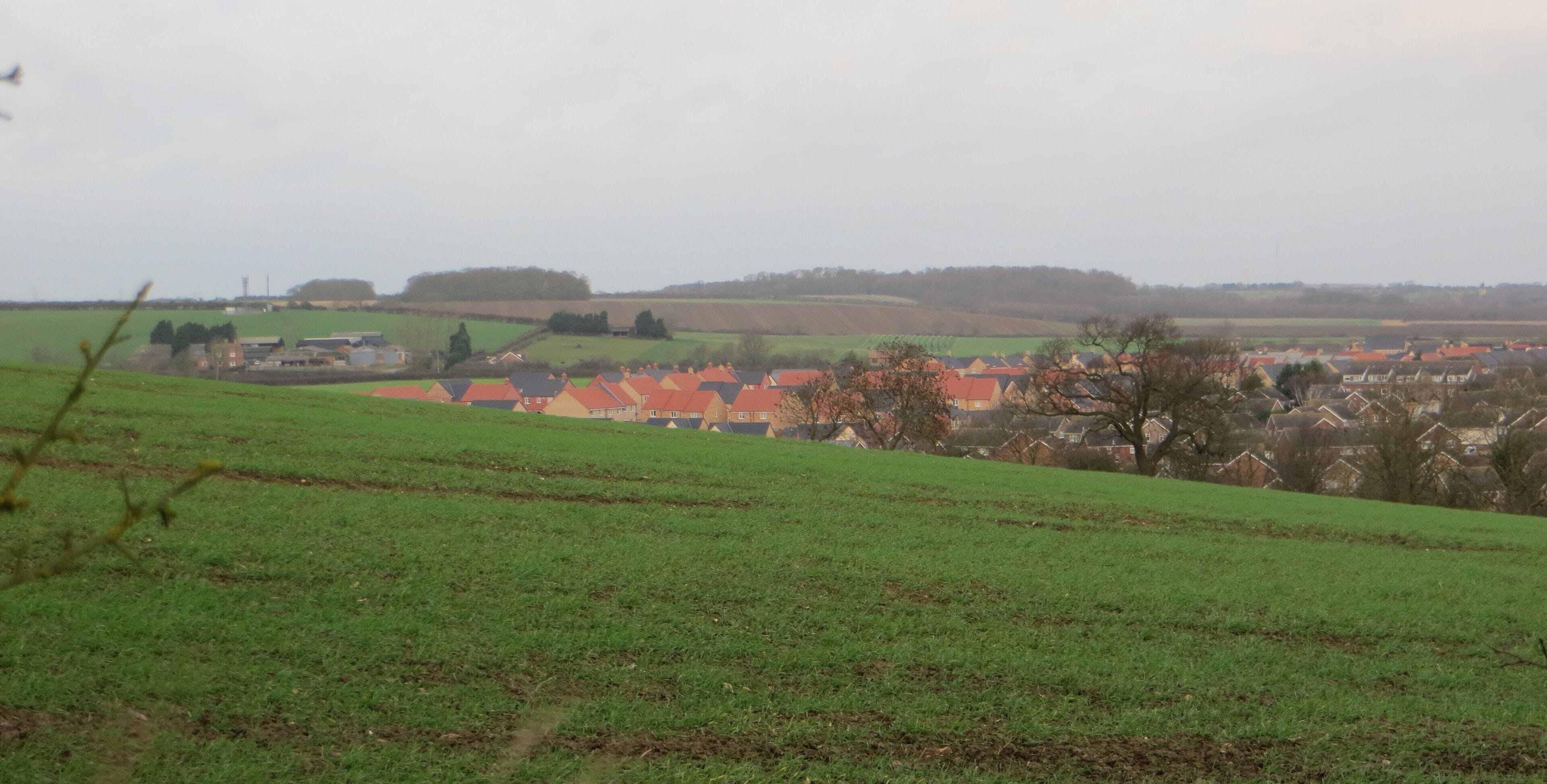 New rooftops - Sawtry 2015