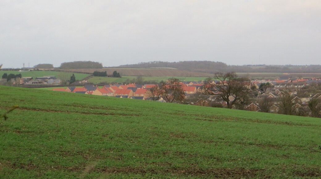 New rooftops - Sawtry 2015