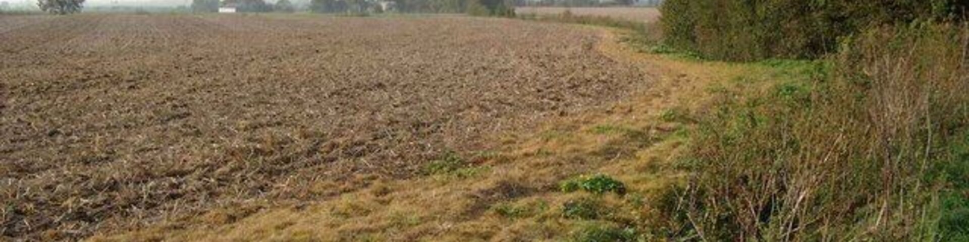 Un campo arado con un sendero que lo atraviesa, rodeado de árboles y arbustos.