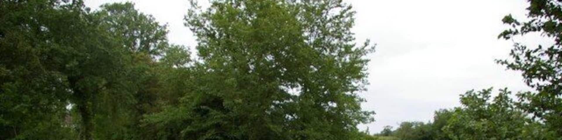 Bridge over a stream at Abbots Ripton, Cambridgeshire