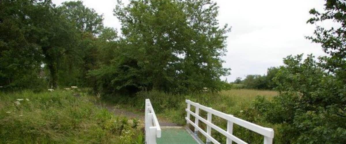 A white wooden bridge with a green surface over a grassy area.